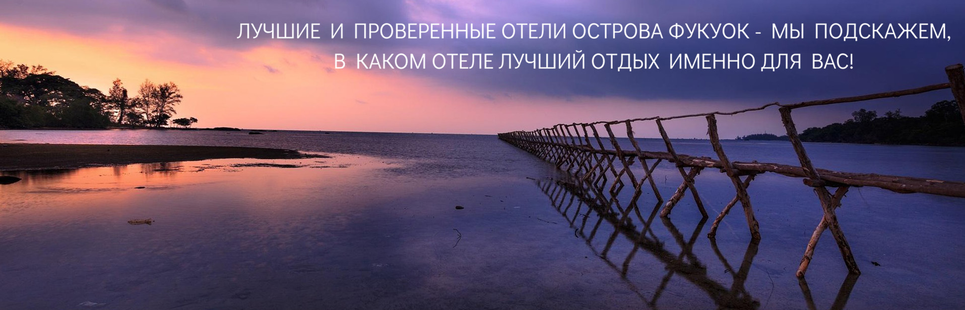 a5.jpg